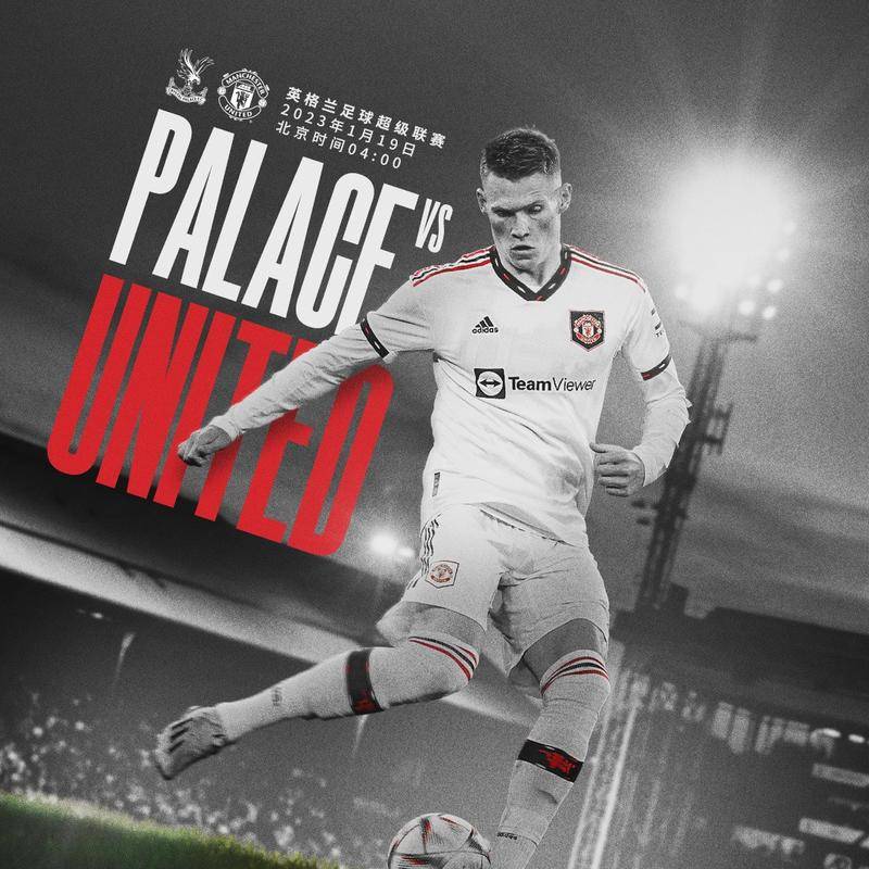 周琦在与新 周琦在与新